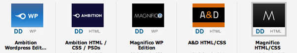 DDStudio's Portfolio