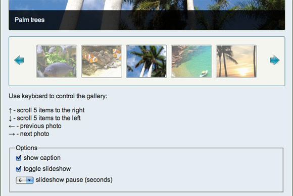 Gallery options