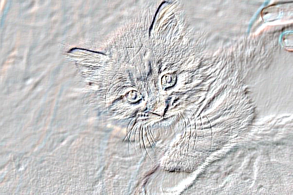Kitty Convolution