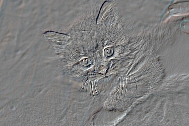 Embossed Kitty